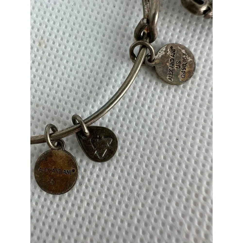 Alex and Ani Bracelet Path of Life